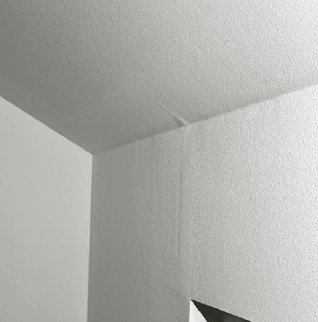 Wunschbaumaler — Kundenfoto